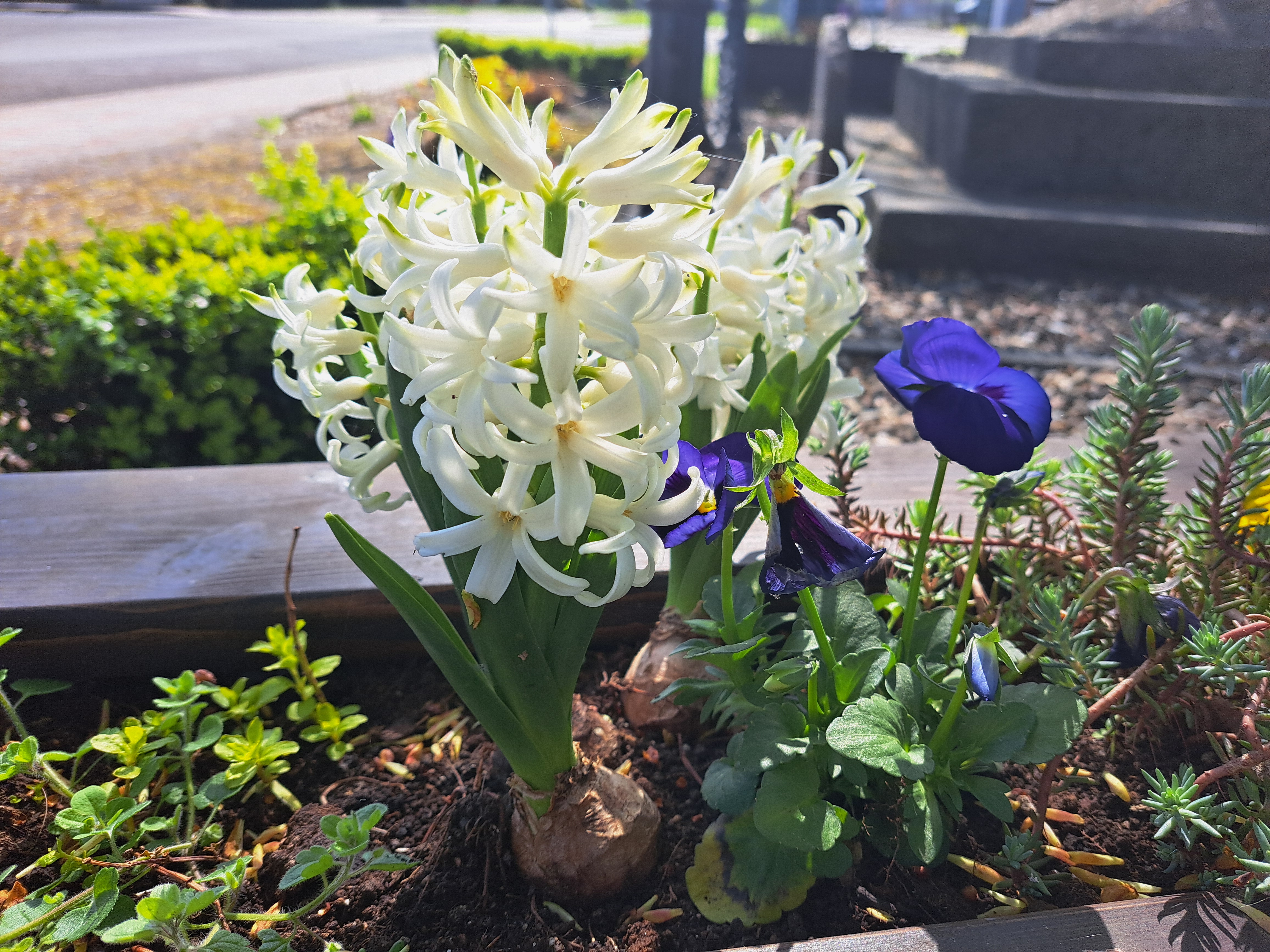 Měnič obrázků - fotografie